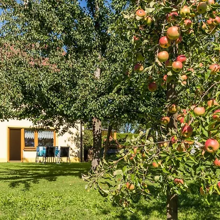 Landhaus Breg Lejlighed Lindau (Bodensee)